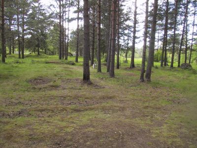 Sotahistoriaa Itä-Kannaksella 1-4.6.2001
Ihantalan hautausmaan aluetta
