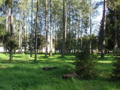 Räisälän hautausmaa
Hautausmaa-alueelle rakennettu kerrostaloja
Avainsanat: Räisälä